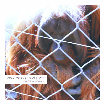 Carátula KILTRAK SONICA - Zoológico es muerte