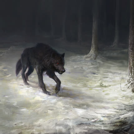 Carátula THE HOT ROCKETS - Wolf in the Shadows