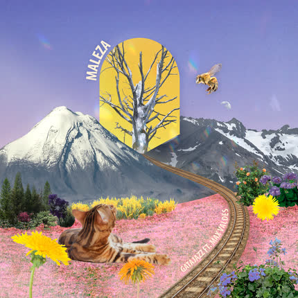 Carátula GATAJAZZ - Maleza