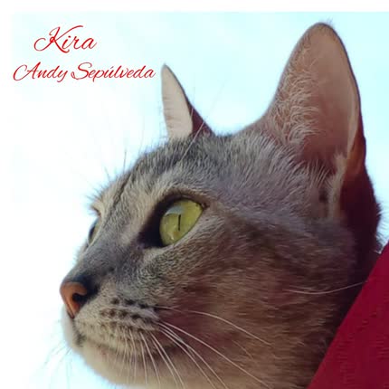 Carátula ANDY SEPULVEDA - Kira
