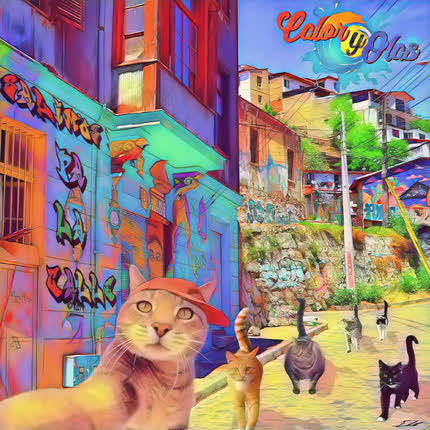 Carátula CALOR Y OLAS - Salimos pa la Calle