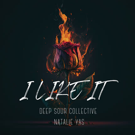 Carátula DEEP SOUR COLLECTIVE - I Like It