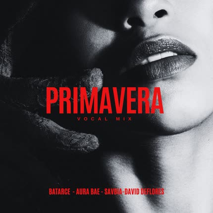 Carátula VARIOS ARTISTAS - Primavera (Vocal Mix)