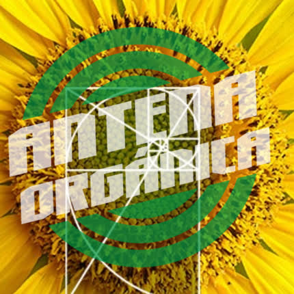 Carátula ANTENA ORGANICA - Girasoles