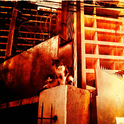 Carátula GATO LLAMARADA - De Estrella en Luna, De Gato en Gato