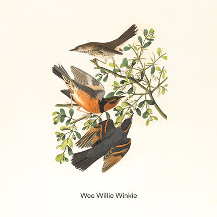 Carátula A COZY LITTLE PLACE, CUCU CANTABA LA RANA & LA GALLINA TURULECA - Wee Willie Winkie