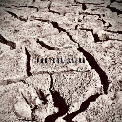 Carátula PANTERA CALVA - La Rosa Negra