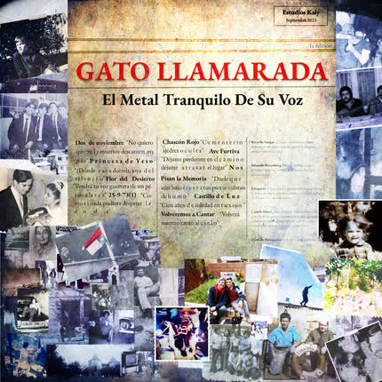 Imagen GATO LLAMARADA