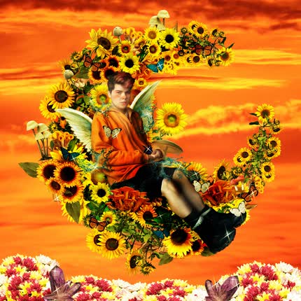 Carátula KODALEMO - Hard To Please