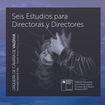 Imagen ORQUESTA DE CAMARA DE VALDIVIA