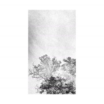 Carátula IHÄ - Espectros