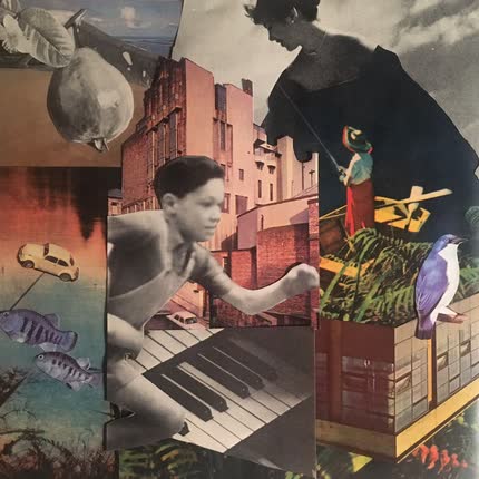 Imagen MARCELA PARRA