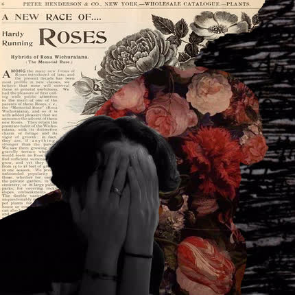 Carátula TAPE RECORDER - Entre Rosas y Espinas