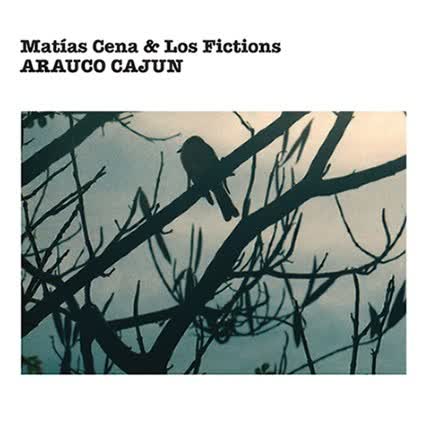 Carátula MATIAS CENA - Arauco Cajun