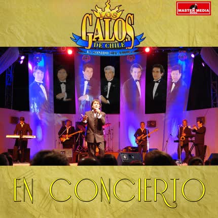 Carátula LOS GALOS - En Concierto (En Vivo)