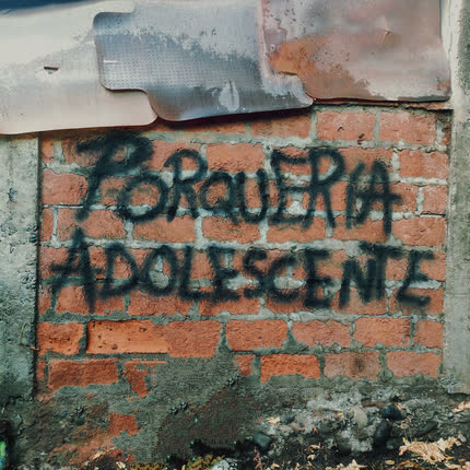 Carátula FALSO MUSICO - Porquería Adolescente