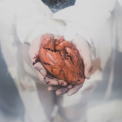 Carátula SAFO - Dormida