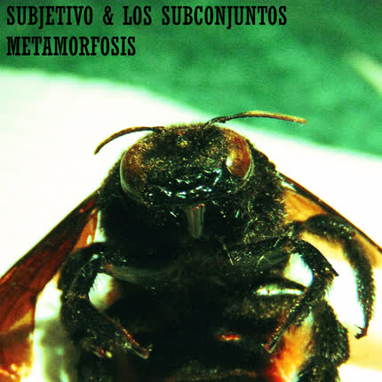 Imagen SUBJETIVO & LOS SUBCONJUNTOS