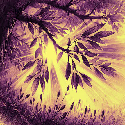 Carátula SENTI-ENTE - Canto del Bosque