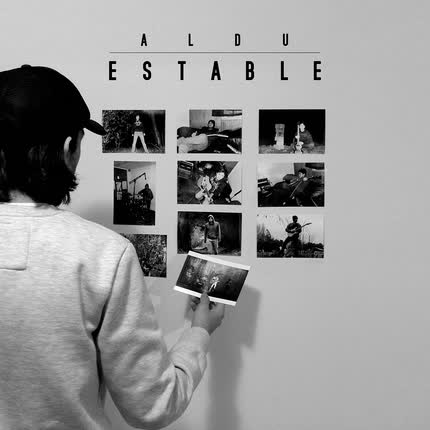 Carátula ALDU - Estable