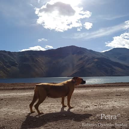 Carátula ROBERTO OYARZUN SUSÑAR - Petra