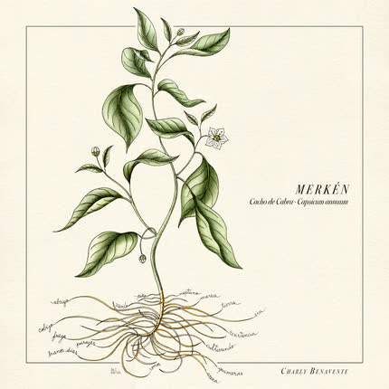 Carátula CHARLY BENAVENTE - Merkén