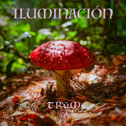Carátula TRÜM - Iluminación