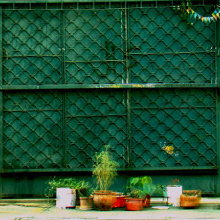 Carátula CADENASSO - Estudio Elefante