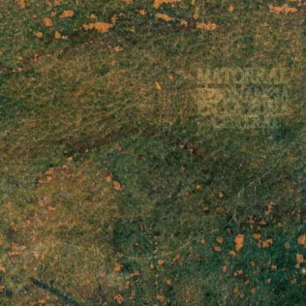 Carátula MATORRAL - Resonancia en la zona central Parte 2