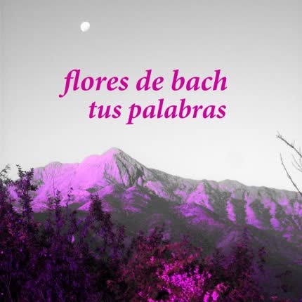 Carátula FLORES DE BACH - Tus Palabras