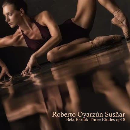 Imagen ROBERTO OYARZUN SUSÑAR