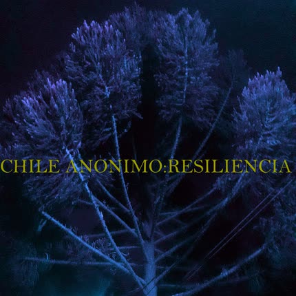 Carátula VARIOS ARTISTAS - Chile Anónimo: Resiliencia