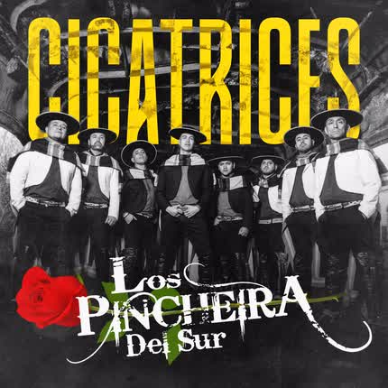 Carátula LOS PINCHEIRA DEL SUR OFICIAL - Cicatrices