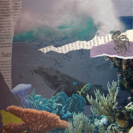 Carátula NAOBA - OCEAN