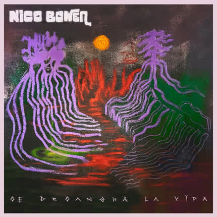 Imagen NICO BOWEN
