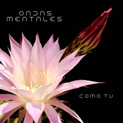 Carátula ONDAS MENTALES - Como tú