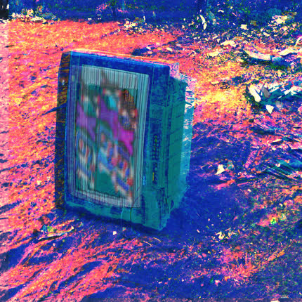Carátula DIIROOM - 19XX
