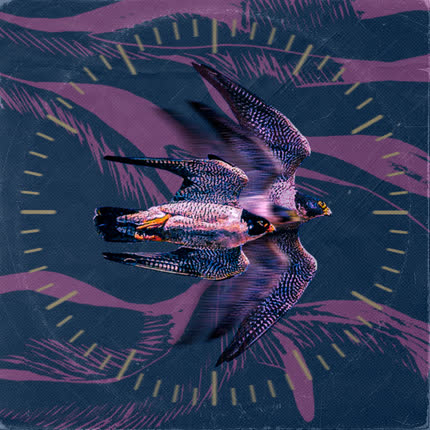 Carátula La Migración de las Aves