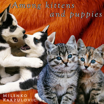 Carátula Among Kittens and <br/>Puppies (Instrumental) 