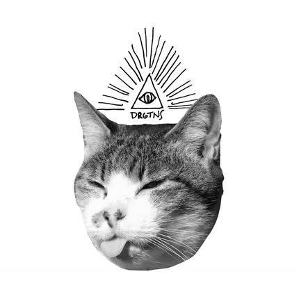 Carátula DROGATONES - Guía de Pesca