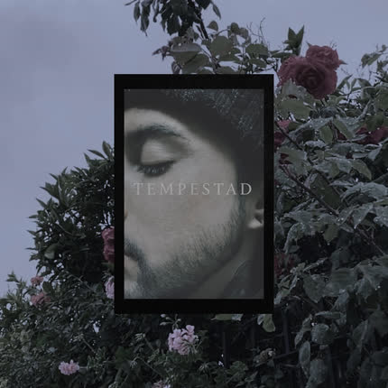 Carátula DASILVA - Tempestad