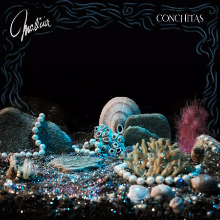 Carátula MALICIA - Conchitas