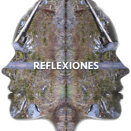 Carátula LOS PRETENCIOSOS - Reflexiones