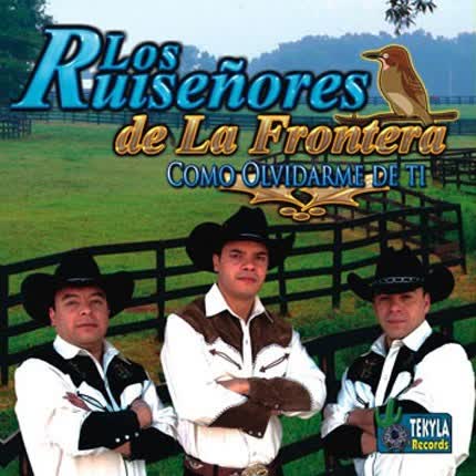 Carátula LOS RUISEÑORES DE LA FRONTERA - Como Olvidarme de ti