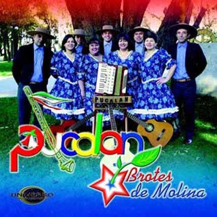 Carátula CONJUNTO PUCALAN - Brotes de Molina