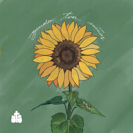 Carátula Yendo Tras Sueños