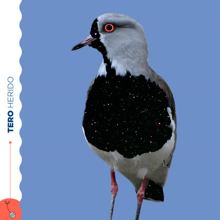 Carátula Tero Herido