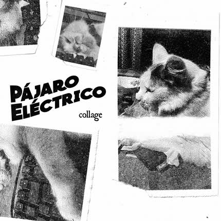 Carátula Collage