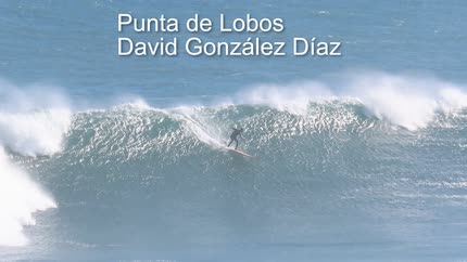 Carátula Punta de Lobos