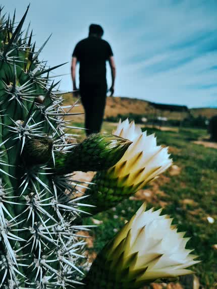 Carátula Lejos de ti